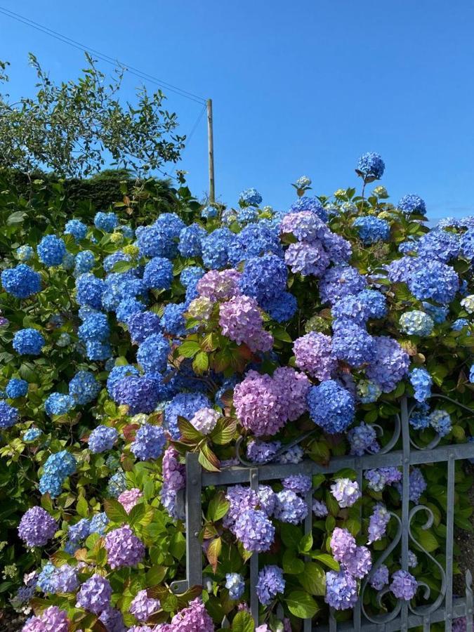 Sea House, Castlerock - Hosts 6, 3 Bedroom House エクステリア 写真